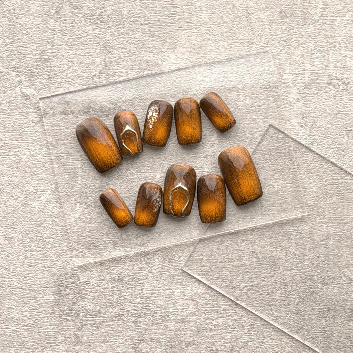 Golden Amber Tortoise