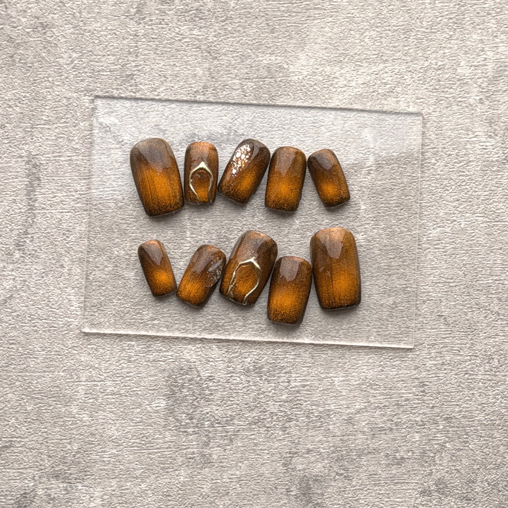 Golden Amber Tortoise